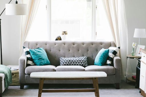 Sofa Cama Maintenance: Keeping Your Convertible Sofa Functional and Stylish
